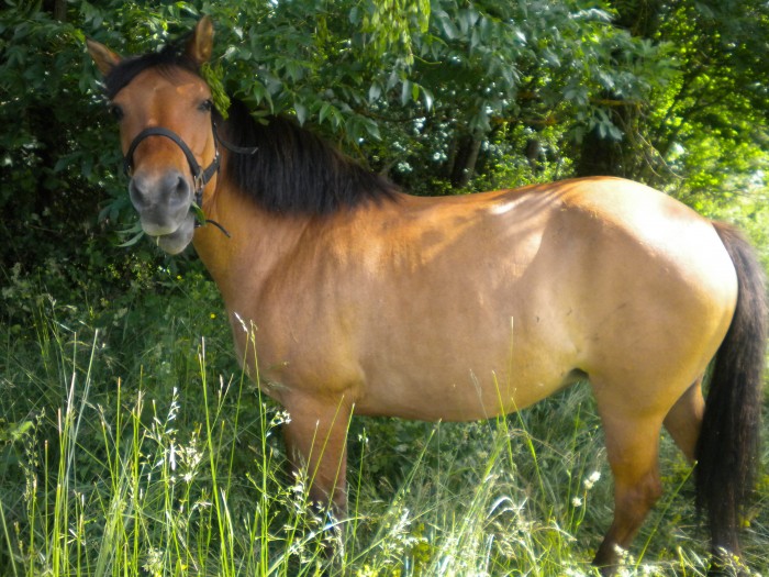 Photo de profil de momo74