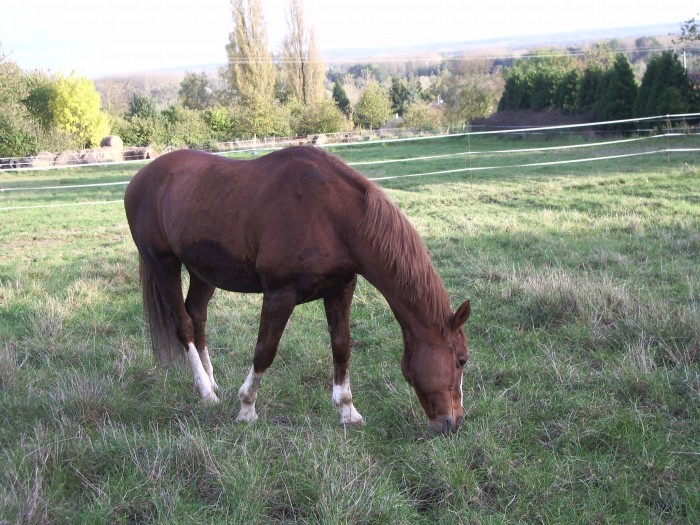 Photo de profil de elo586