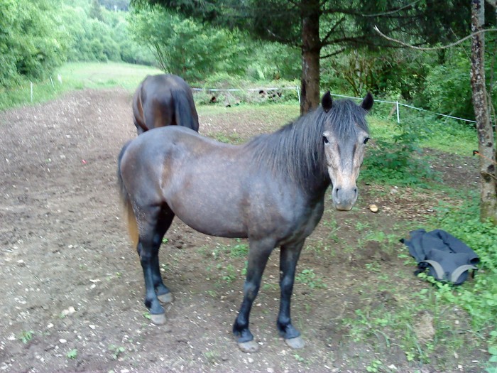 Photo de profil de louisr