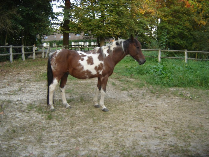 Photo de profil de bap77