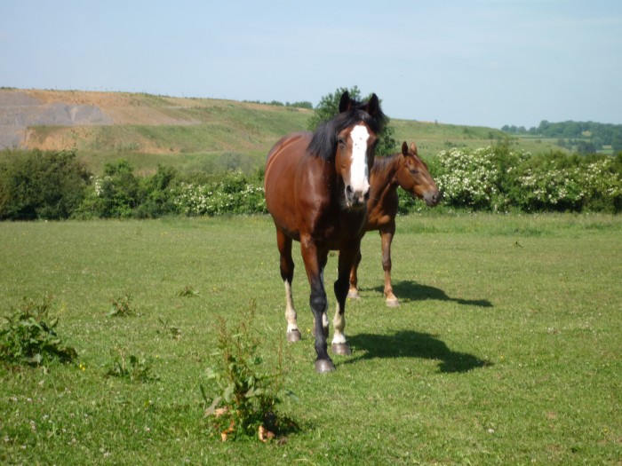 Photo de profil de brunit