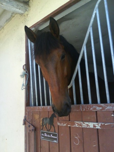 Photo de profil de palis