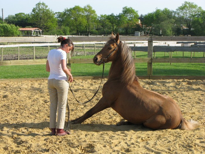 Photo de profil de geralex