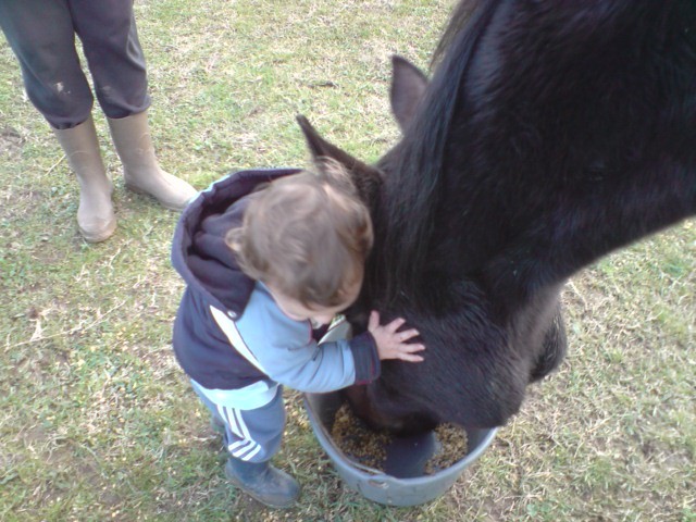 Photo de profil de djedi