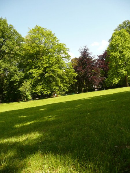 Photo de profil de rl68