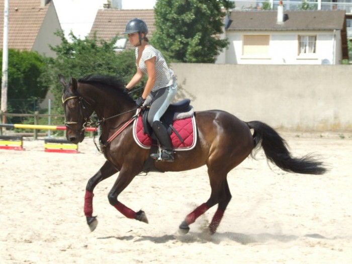 Photo de profil de mamayou