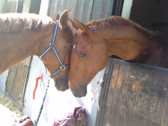 Photo de profil de masterpalmi