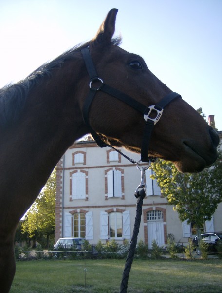 Photo de profil de amelie31320