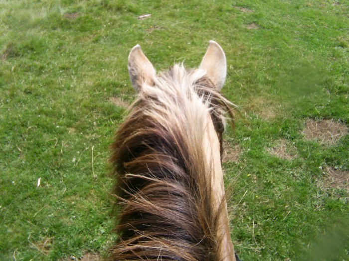 Photo de profil de hermionejetaime