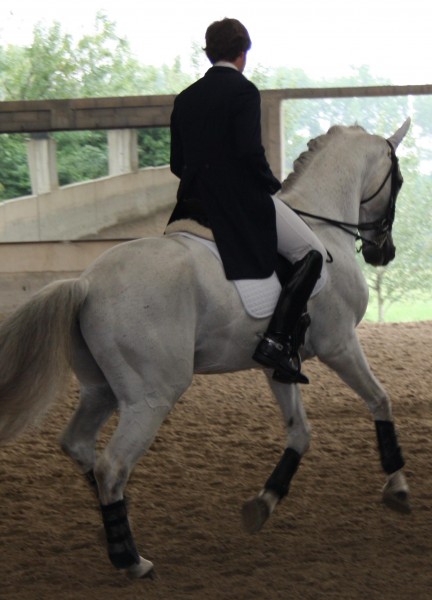 Photo de profil de alexandrefluet