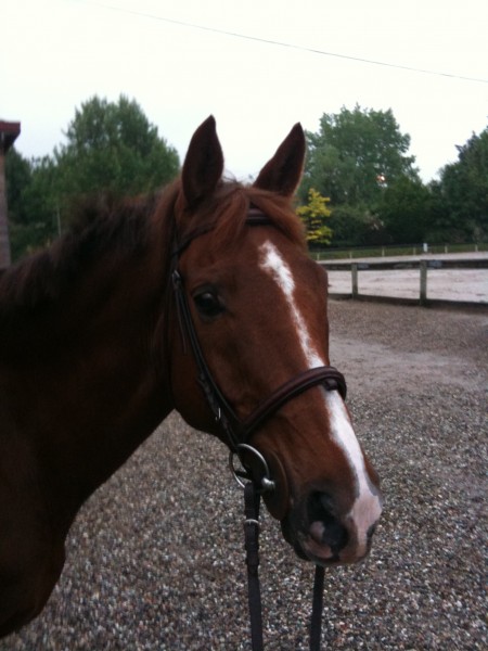Photo de profil de lolotte67100
