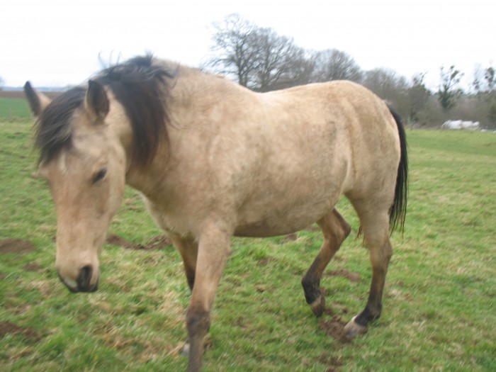 Photo de profil de franki