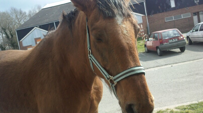 Photo de profil de cheyenneespoir