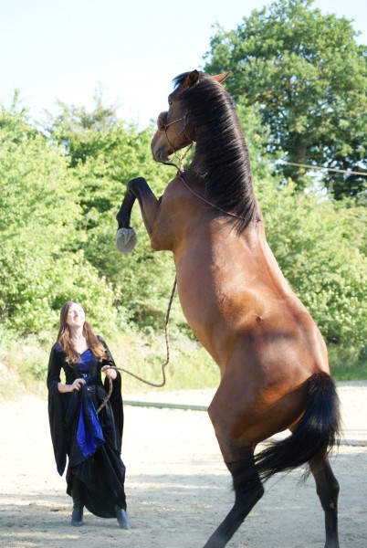 Photo de profil de macademiketho