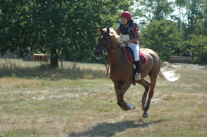 Photo de profil de fritelle