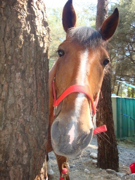 Photo de profil de younespri