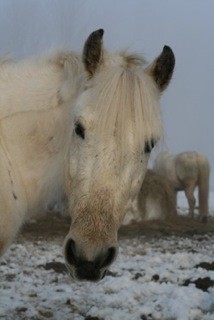Photo de profil de chaussetteetmoi