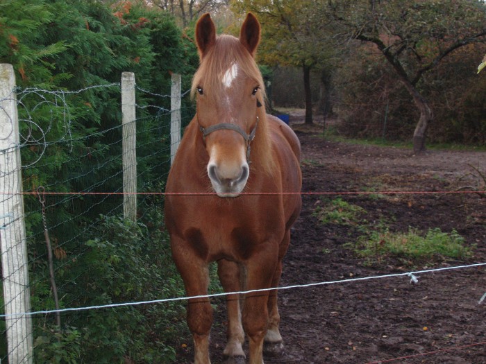 Photo de profil de ultravanille77