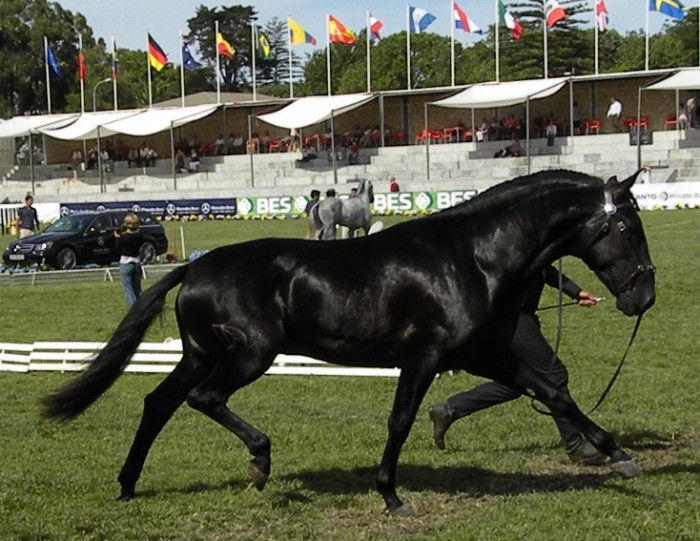 Photo de profil de saul