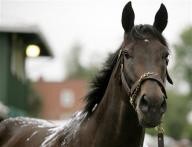 Photo de profil de dilepa