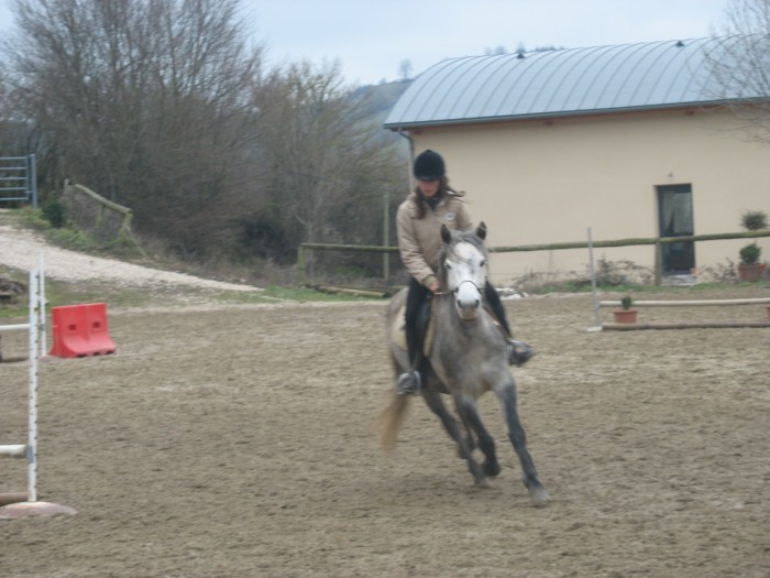 Photo de profil de lovehorsedu12