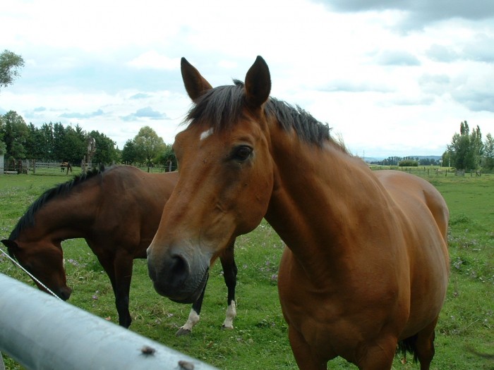 Photo de profil de mazarin