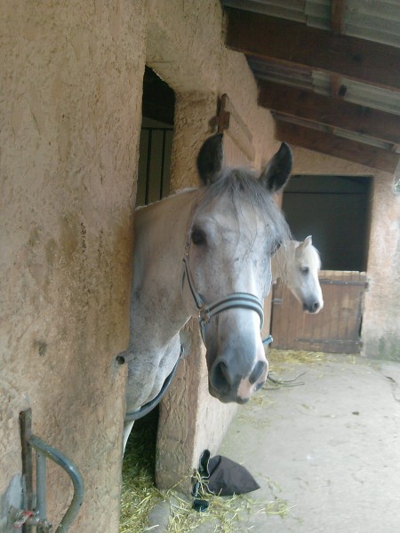 Photo de profil de sunnylightdu83