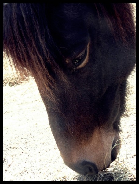 Photo de profil de blaackclaire