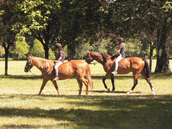 Photo de profil de edelmae