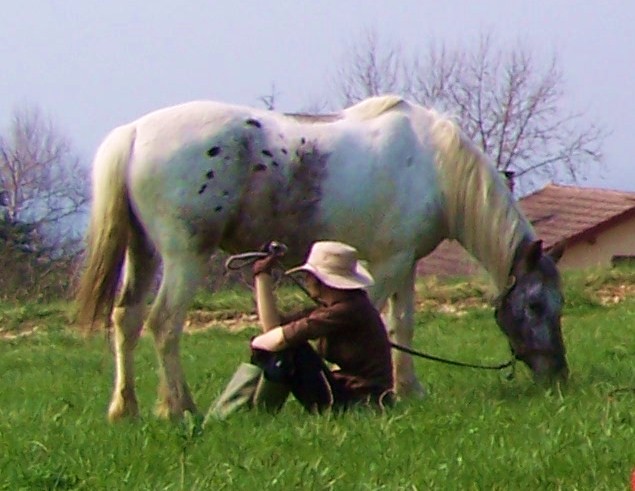 Photo de profil de hel37