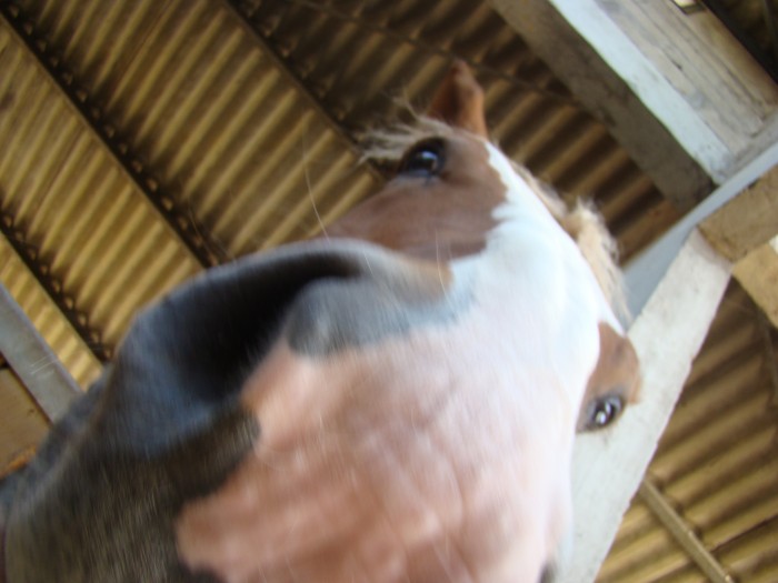 Photo de profil de nannou