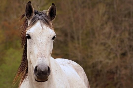 Photo de profil de anna77