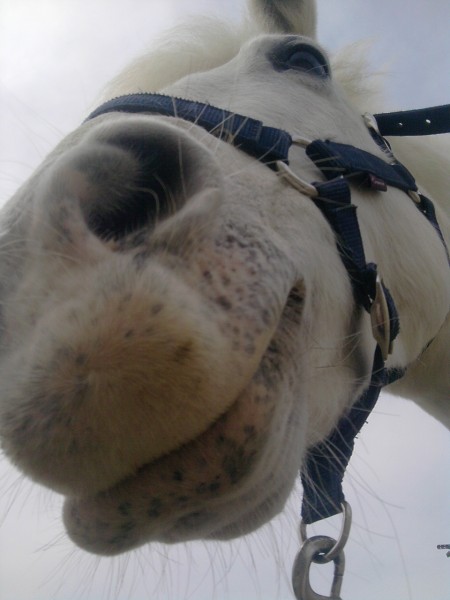 Photo de profil de audrey30