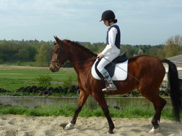 Photo de profil de chaetspirou