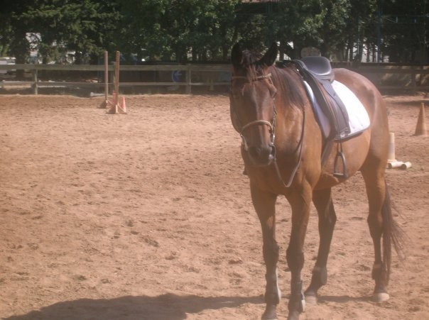 Photo de profil de nicia