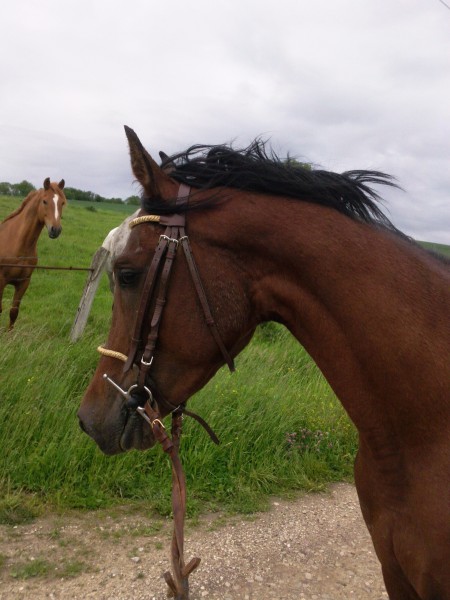 Photo de profil de corantine