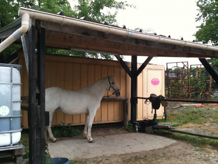 Photo de profil de judicaele