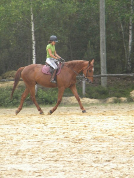 Photo de profil de clairette24