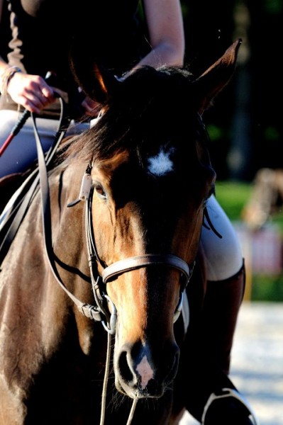 Photo de profil de jooww