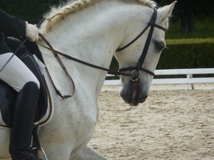 Photo de profil de melyloute