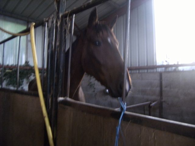 Photo de profil de benoitcasola