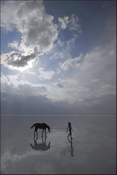 Photo de profil de mariecheval