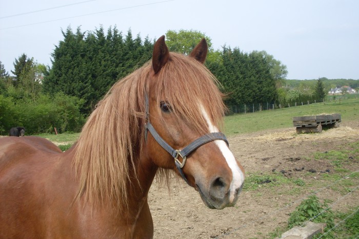 Photo de profil de cha57a