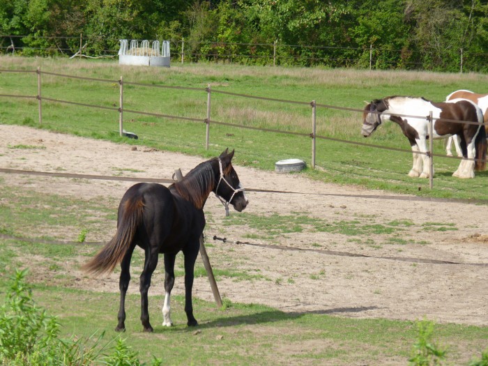 Photo de profil de eskapade