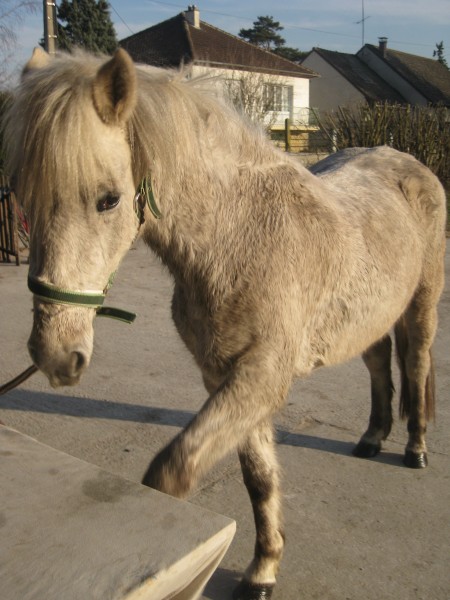 Photo de profil de chouchouxmilion