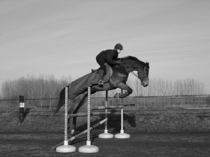 Photo de profil de audrey.g