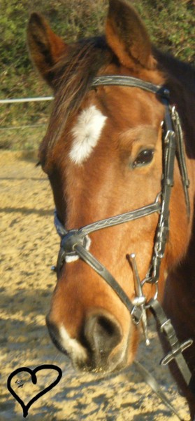 Photo de profil de fanny26
