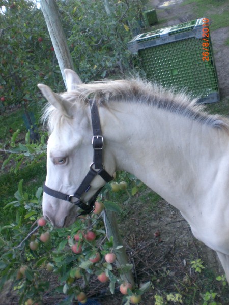 Photo de profil de zazouille84