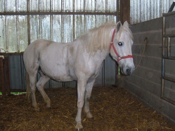 Photo de profil de cavalier27