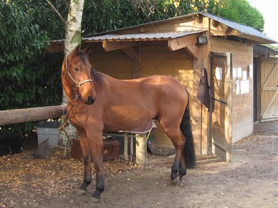 Photo de profil de telmad